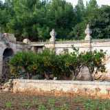 ...la cui vasca � oggi occupata da colorati alberelli di arance